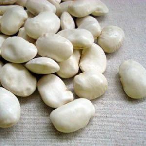 白花豆 400g 2023年 北海道産 ※例年より小粒となっております