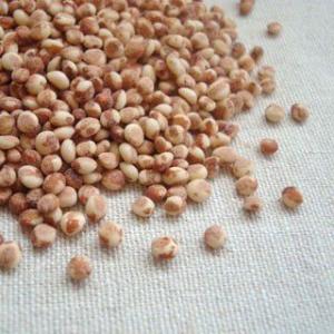 たかきび 1kg 2020年 岩手県産