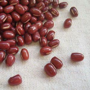 小豆 10kg 豆力 契約栽培 北海道 十勝産 業務用 国産 国内産 徳用 乾燥