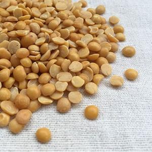 ツールダール 500g  
