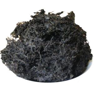 黒原藻 海苔（国産）　20ｇ入　岩海苔タイプ 黒ばら干し海苔　『大森小町』