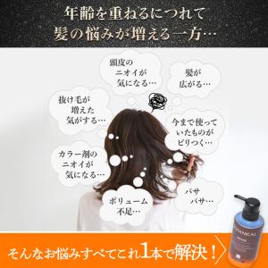 白髪染め トリートメント レフィーネ ヘッドス...の詳細画像3