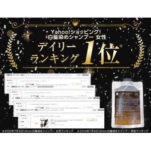 白髪染め トリートメント レフィーネ ヘッドス...の詳細画像2