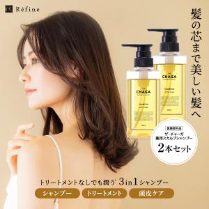 デンシフィック ケラスターゼ DS アドジュネス 100ml 2本セット
