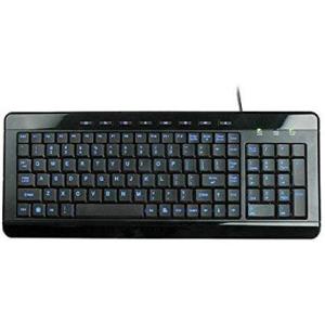 Anyware Computers Full Size Multimedia USB Lighted Keyboard w/ Backlit Blue LEDs