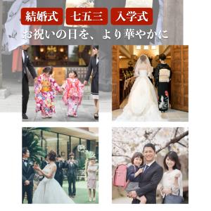 かんざし 簪 留袖 黒留袖 パール 一本 髪飾...の詳細画像1