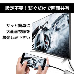 タイプC HDMI 変換 ケーブル アダプター...の詳細画像2