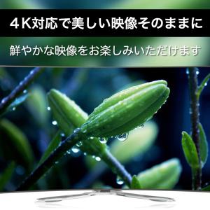 ミラーリング iPhone HDMI カーナビ...の詳細画像4