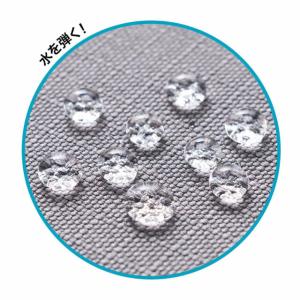 MonoMax モノマックス 2025年 9月...の詳細画像2