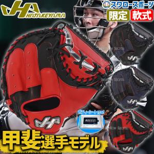 SALE セール 大特価 ハタケヤマ 軟式 大人用 一般 甲斐 モデル 野球 キャッチャーミット 大人 SH19型  ボディーシート付き限定｜swallow4860jp