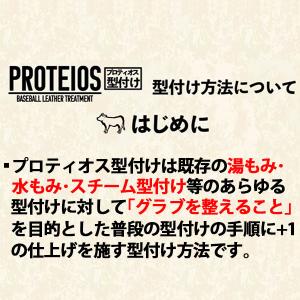 【代引不可/最短7〜9日後出荷】オイルは付属し...の詳細画像4