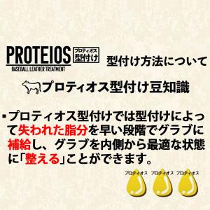 【代引不可/最短7〜9日後出荷】オイルは付属し...の詳細画像5