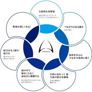 野球 バッティング手袋 白 アイピーセレクト ...の詳細画像4