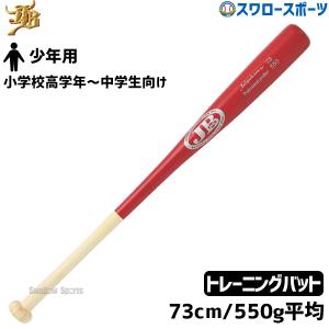 10%OFF 野球 室内 素振り バット 軟式 JB ボールパークドットコム 少年用 ジュニア トレーニング リアルグリップ硬式 軟式兼用｜swallow4860jp