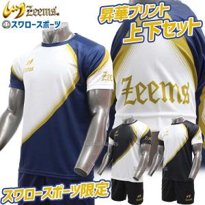 野球 ジームス スワロー限定 オーダー ウェア 昇華Tシャツ