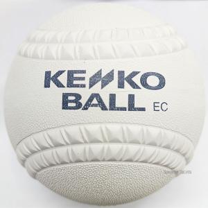 ソフトボール ナガセケンコー 新球 新規格 新...の詳細画像1