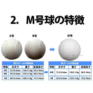 野球 ナガセケンコー M号球 ボールケース付き...の詳細画像2