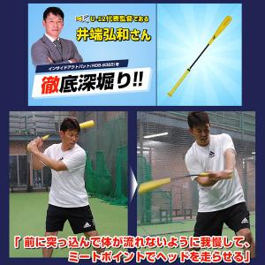 野球 室内 素振り バット フィールドフォース...の詳細画像4