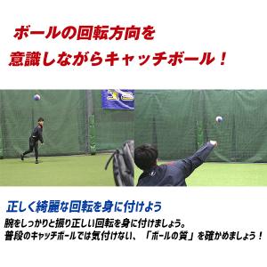 野球 フィールドフォース ボール 回転 チェッ...の詳細画像1
