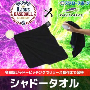キレダス 野球 トレーニング用品 投球 スローイング練習用品 V2
