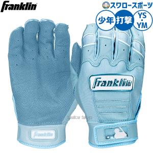 フランクリン 【即日発送可】＜メール便対応＞フランクリン（Franklin