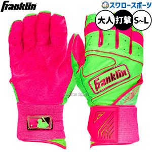 フランクリン 【即日発送可】フランクリン（Franklin） 20776
