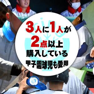 【正規取扱店】野球 アイシングU 2点セット ...の詳細画像1