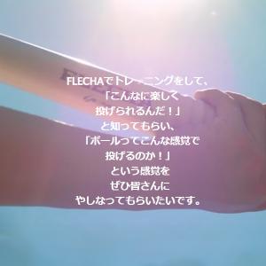 アイピーセレクト フレーチャ アルモニーア 野...の詳細画像4