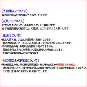 【タフトーのみ可】野球 ニューバランス NEW...の詳細画像5