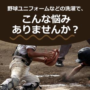 野球 スワロースポーツオリジナル 洗剤 泥汚れ...の詳細画像4