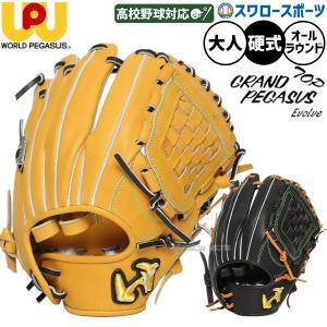 MIZUNO（ミズノ） 軟式用グローブ ミズノプロ 5DNAテクノロジー 外野手
