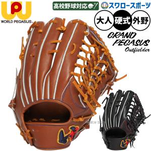 ASICS（アシックス） 野球 軟式キャッチャーミット ダイブ 中学生