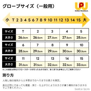 野球 ワールドペガサス エディット ソフトボー...の詳細画像5