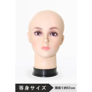 ヘッド マネキン 頭 顔 トルソー 等身サイズスワローテイルオリジナル