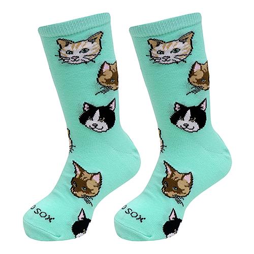 キッズ ソックス  約20cm〜約22.5cm CATS 10129K7CNCF