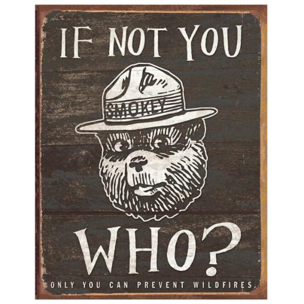 ティン サイン Smokey Bear - If Not You MS1878