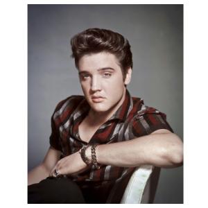 ティンサイン Elvis Portrait MS2433｜swam