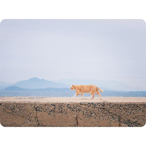 ＜ダイナー マット＞　藍島（あいのしま）の猫　吸水性と弾力のあるランチョンマット