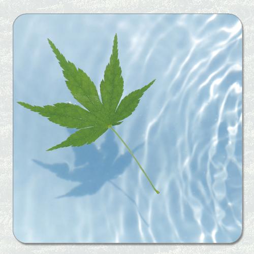 【SAKEマット】　青もみじ　｜酒器・ボトル対応 吸水マット　酒マット