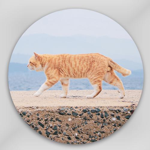 ＜ラバー コースター＞　藍島（あいのしま）の猫　吸水タイプコースター