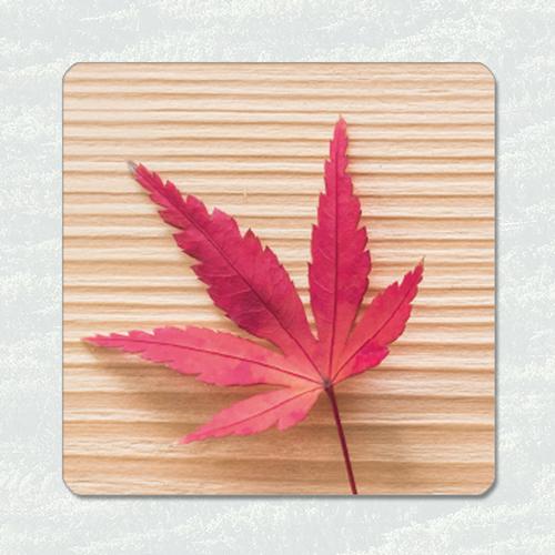 ＜ラバー コースター＞　紅葉　吸水タイプコースター