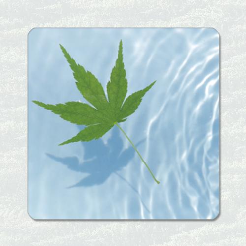 ＜ラバー コースター＞　 青もみじ　吸水タイプコースター