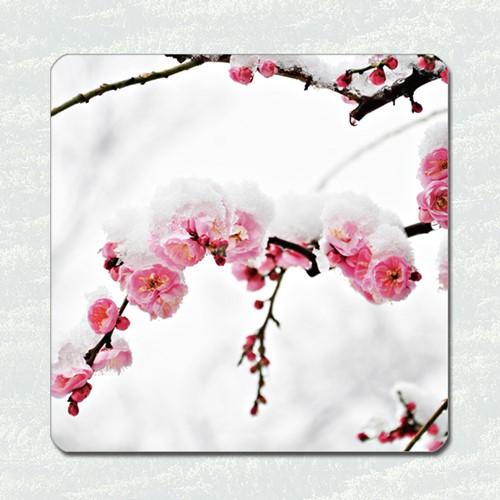 ＜ラバー コースター＞　雪梅　吸水タイプコースター