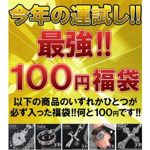 fuku-100 最強 １００円福袋 今年の運試しに是非 お一人様１点限り