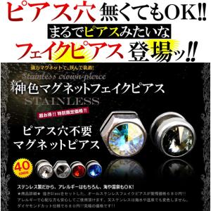 ステンレス製 1個売り 選べる全40種類 ステ...の詳細画像1
