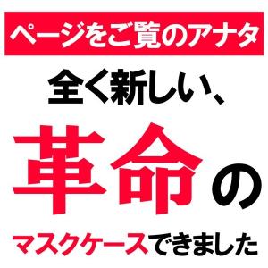 【 日本製 】 楽ポケ 抗菌 マスクケース お...の詳細画像2