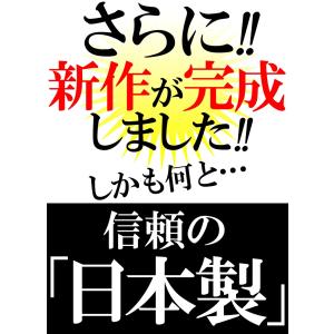 信頼の 日本製 プロ仕様 リングゲージ 日本標...の詳細画像2