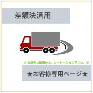 差額決済専用　オプションを別途ご購入のお客様用 店舗のご利用はご遠慮ください