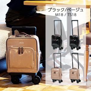 SWANY（スワニー） キャリーバッグ 交換用 「39」 75mm T2 (低