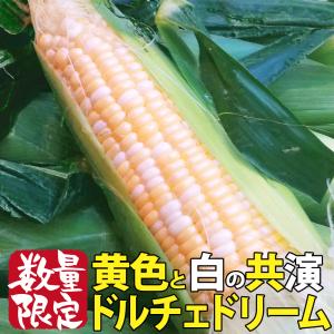 )数量限定 ドルチェ 10本 とうもろこし 甘い 野菜 産直